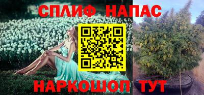 ECSTASY Заволжье