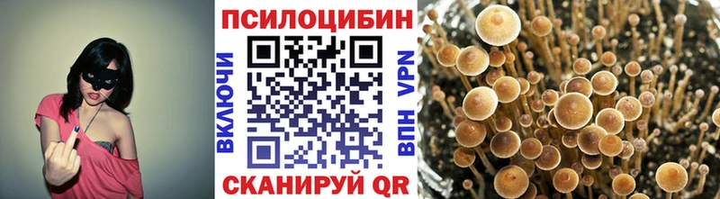 MEGA ONION  Шарыпово  Псилоцибиновые грибы ЛСД  как найти наркотики 